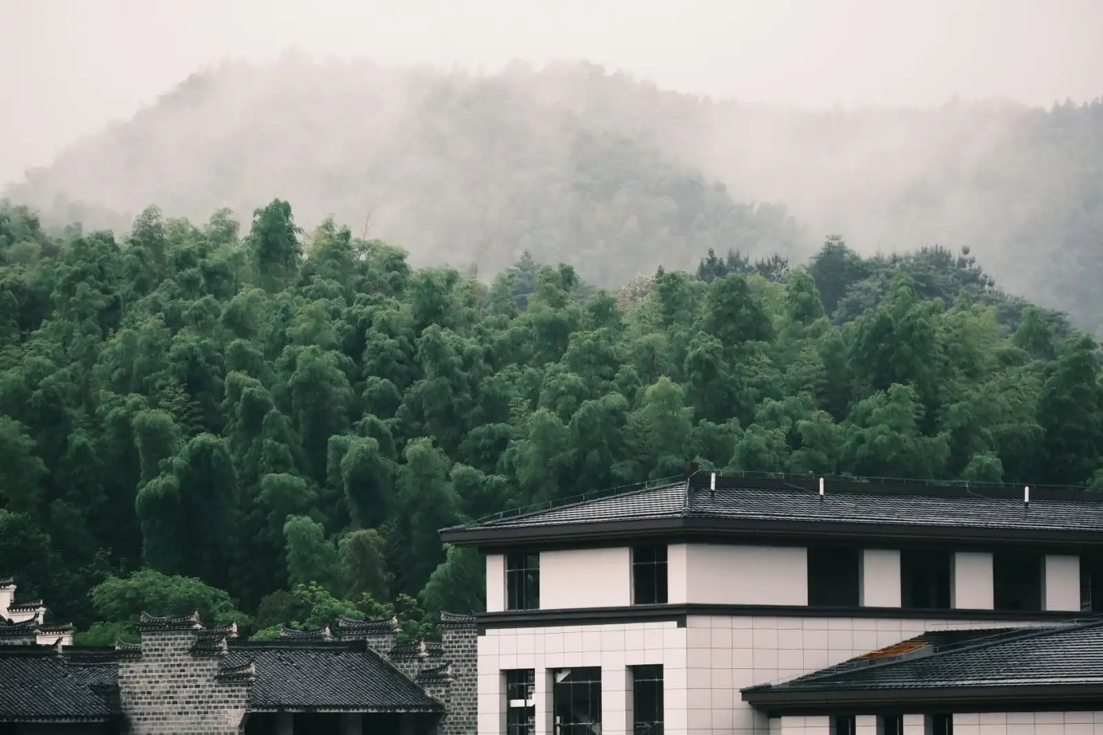 东莞中小企业代理记账服务与自主记账的成本效率对比分析