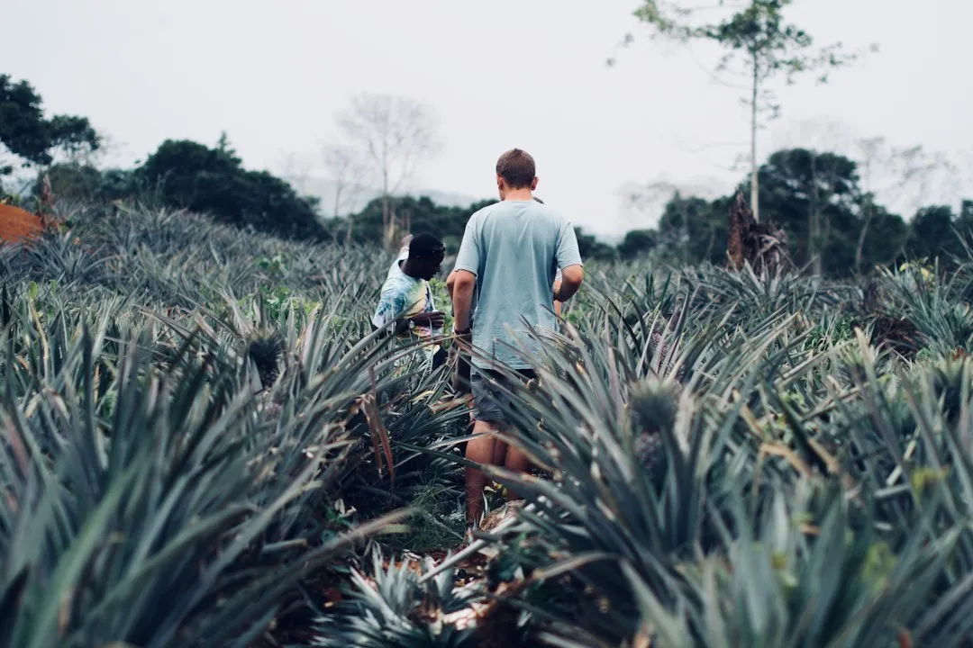德恒会计：制造业企业税务风险防范与合规管理方案设计